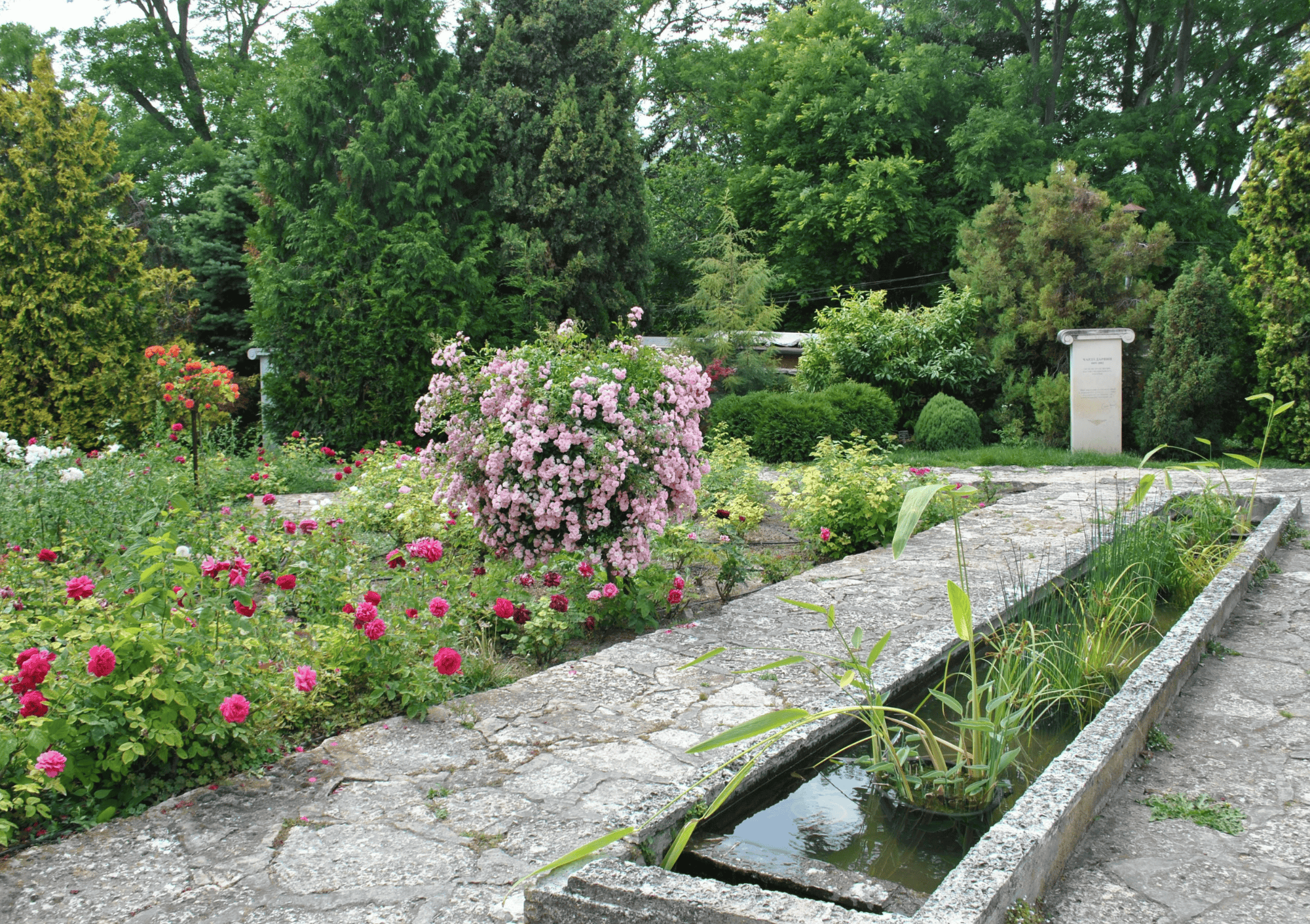 Jardin-amenage-pierres-3.png